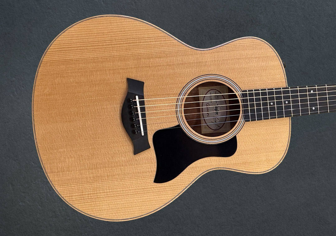 GS Mini-e Rosewood Plus