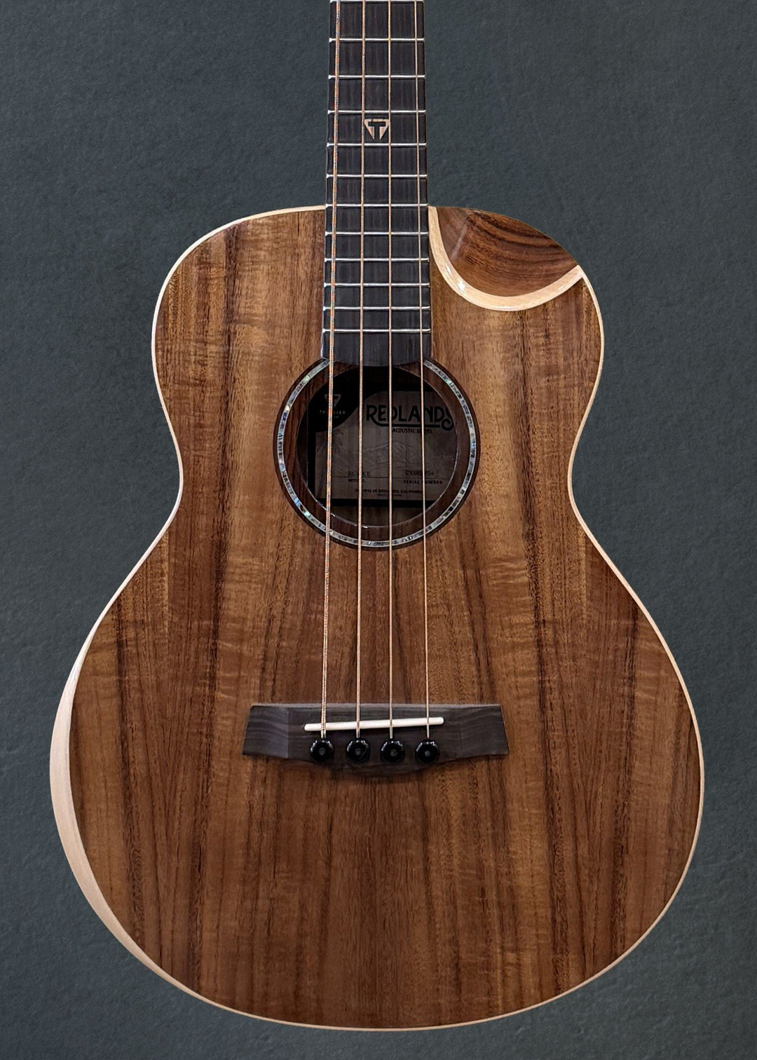 Concert Traveler Acoustic / Electric Bass Guitar - RCB KE, Recent