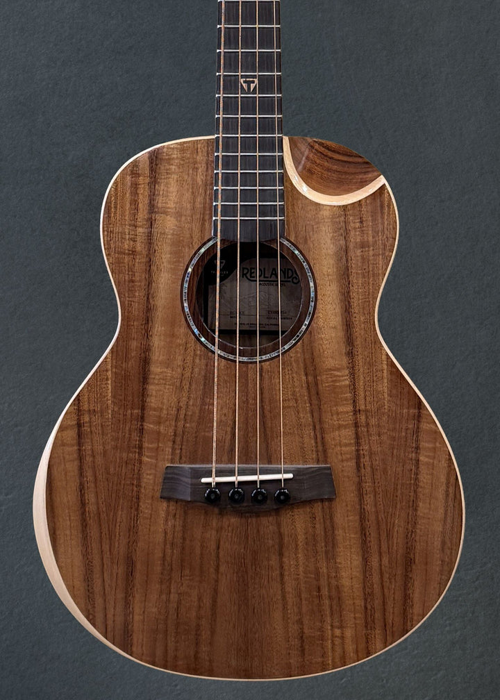 Concert Traveler Acoustic / Electric Bass Guitar - RCB KE, Recent