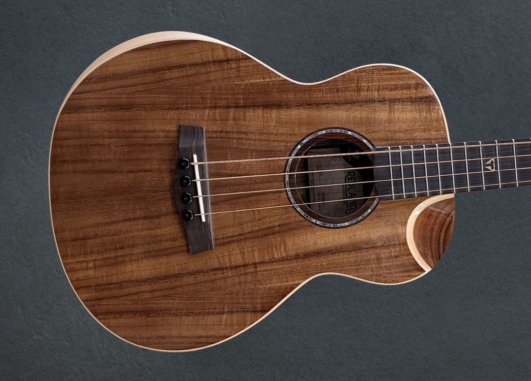 Concert Traveler Acoustic / Electric Bass Guitar - RCB KE, Recent