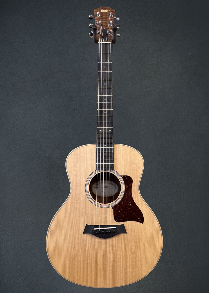 Used GS Mini &