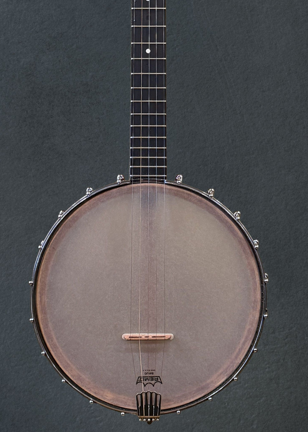 5 string open back Banjo &