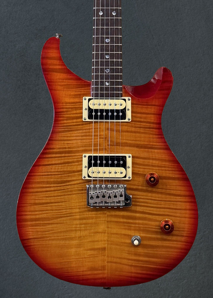 SE Custom 22 &