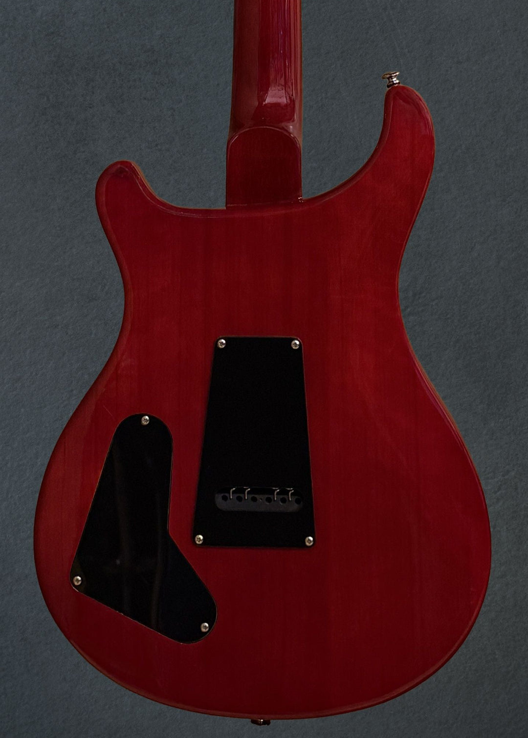 SE Custom 22 &