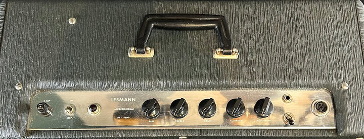 "Accordio-Organ" 1x15 Combo, Mid 60s