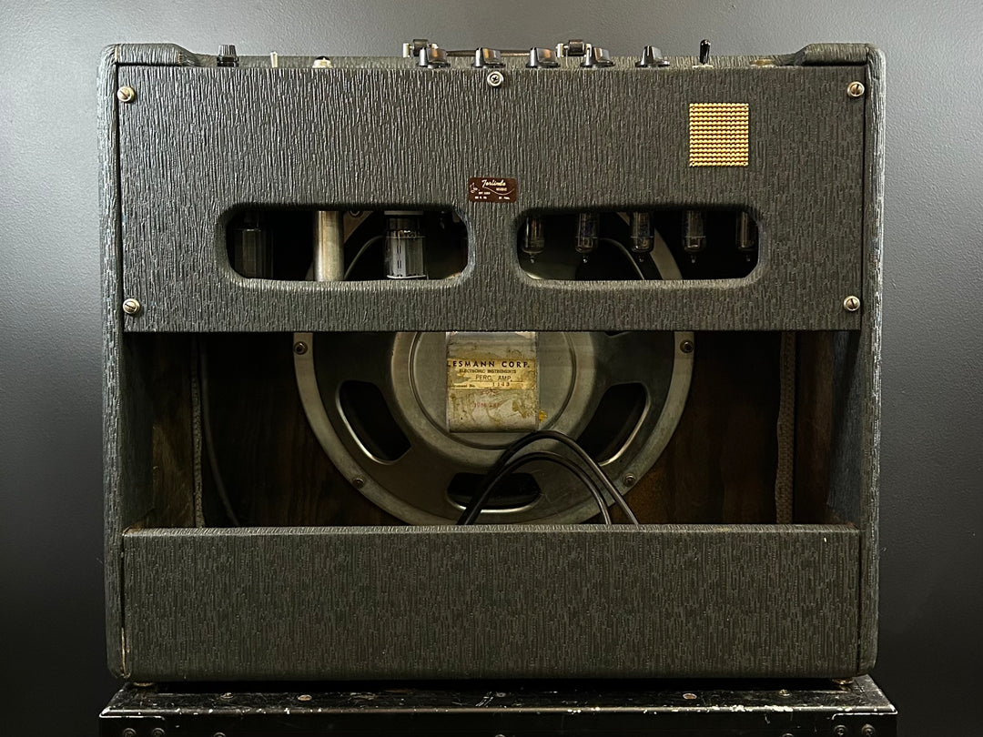 "Accordio-Organ" 1x15 Combo, Mid 60s