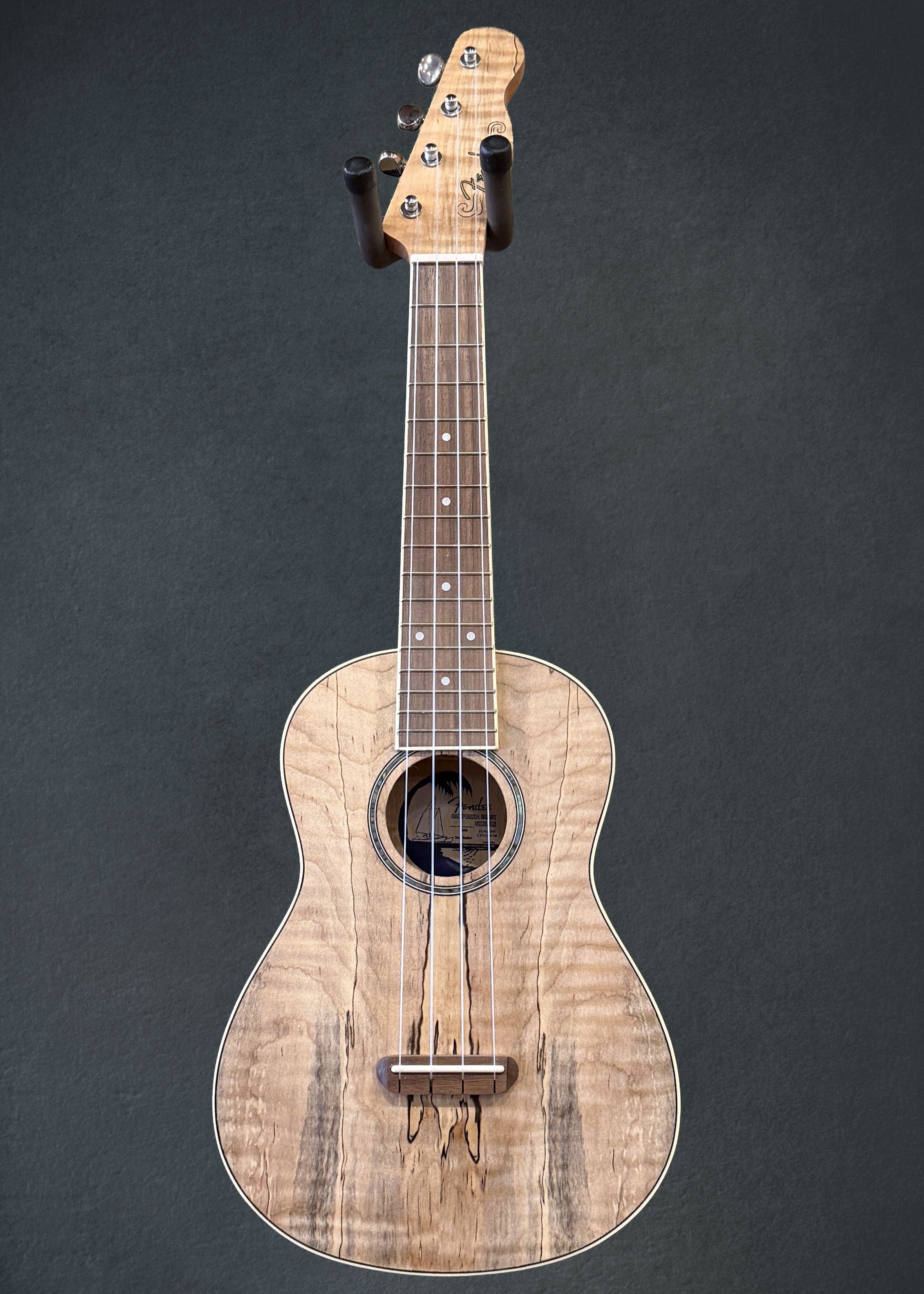 ZUMA EXOTIC CONCERT UKULELE – Dave's Guitar Shop
