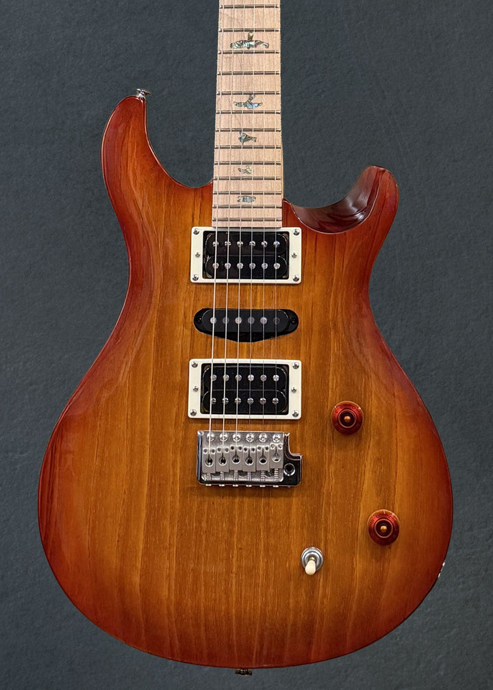 SE Swamp Ash Special &