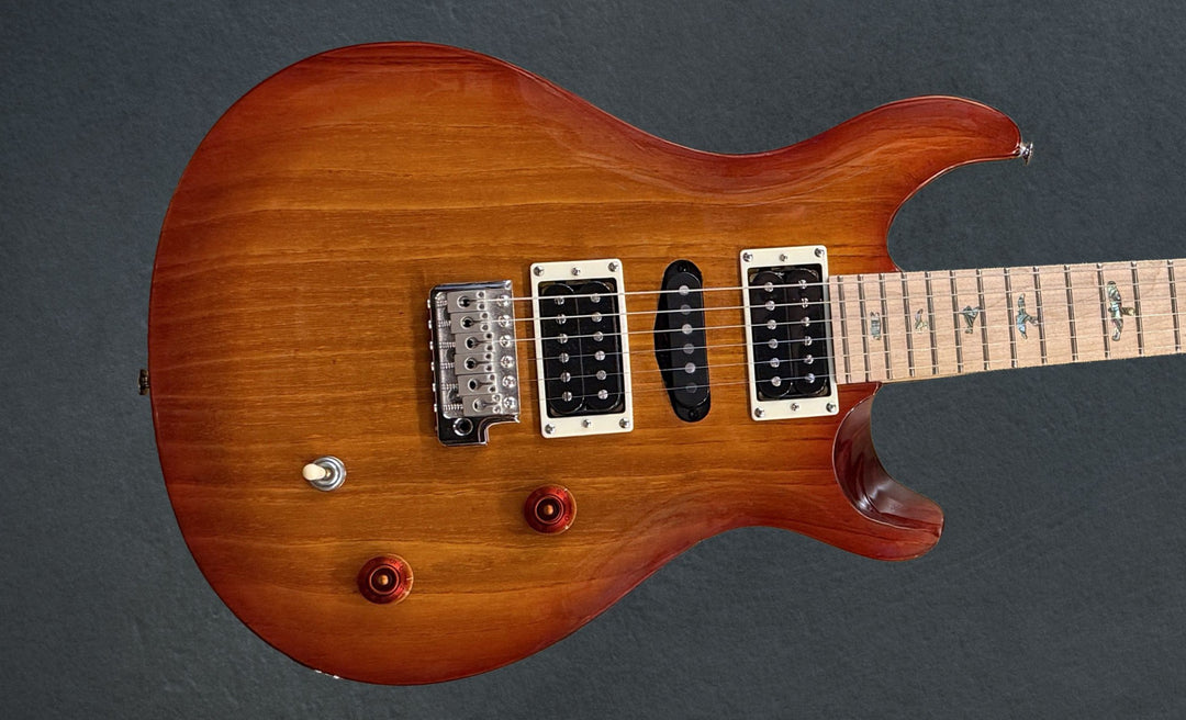 SE Swamp Ash Special &