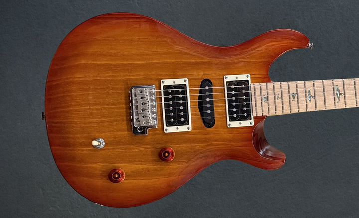 SE Swamp Ash Special &