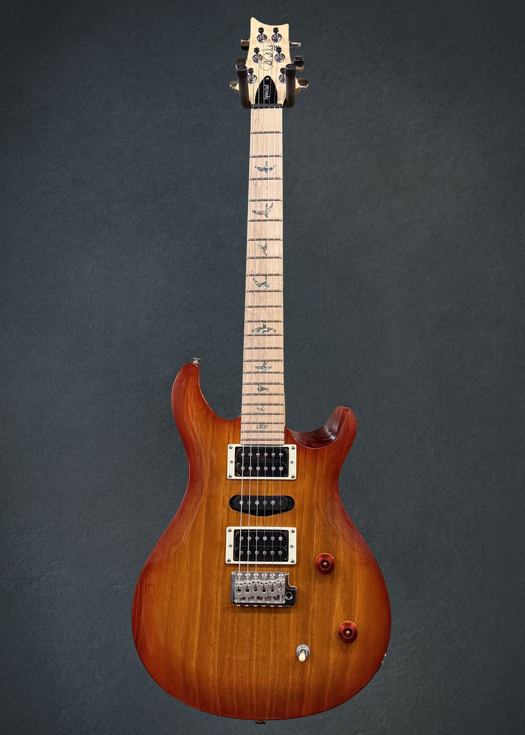 SE Swamp Ash Special &