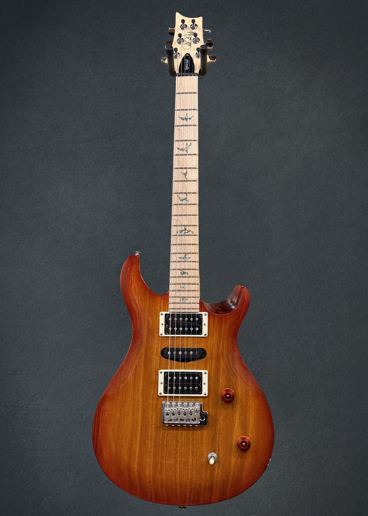 SE Swamp Ash Special &