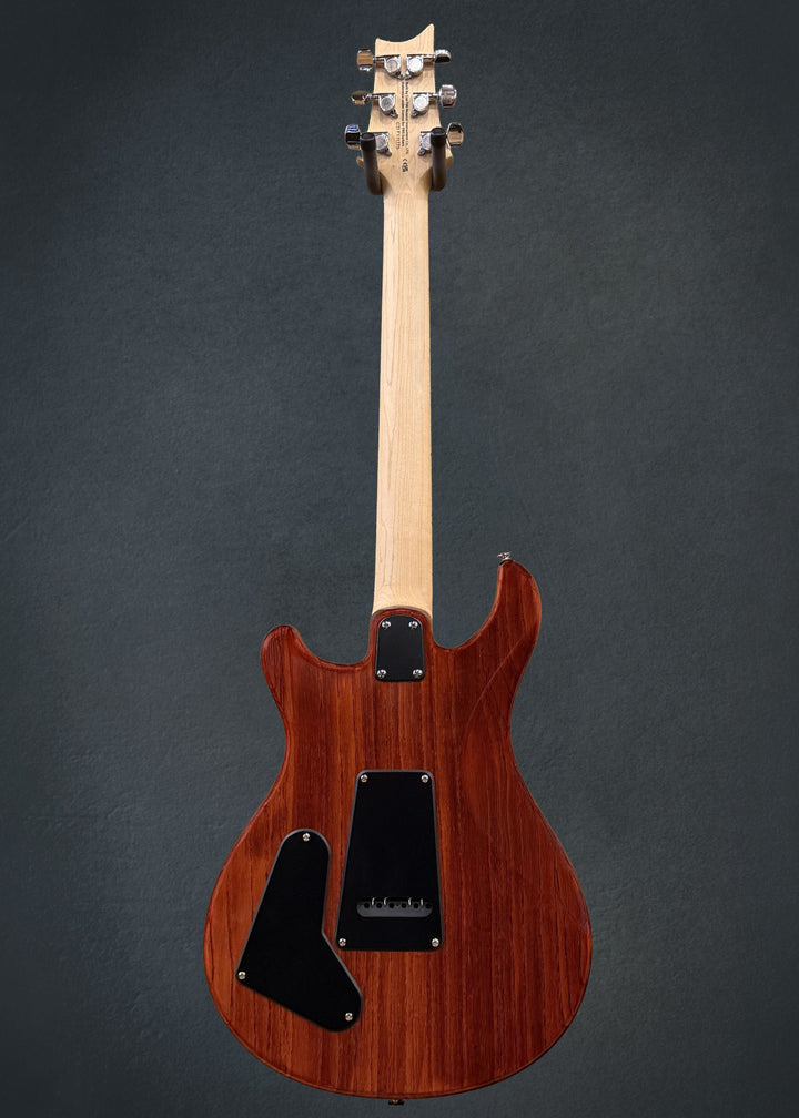 SE Swamp Ash Special &