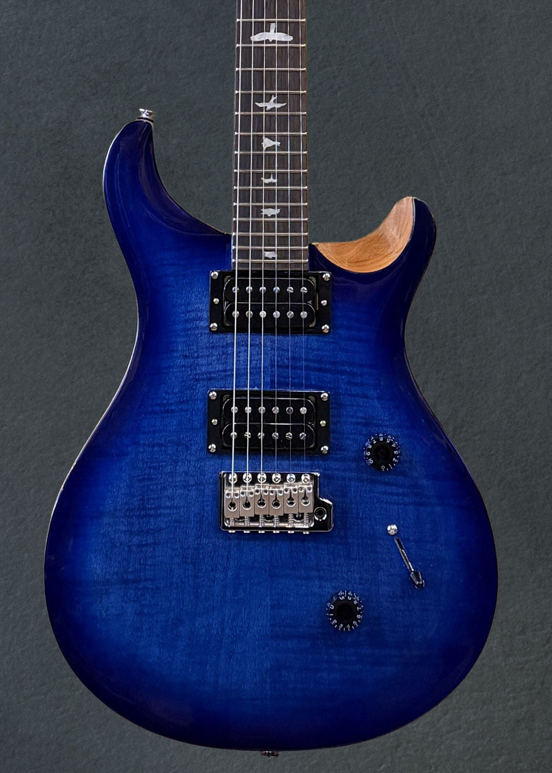 SE Custom 24 &