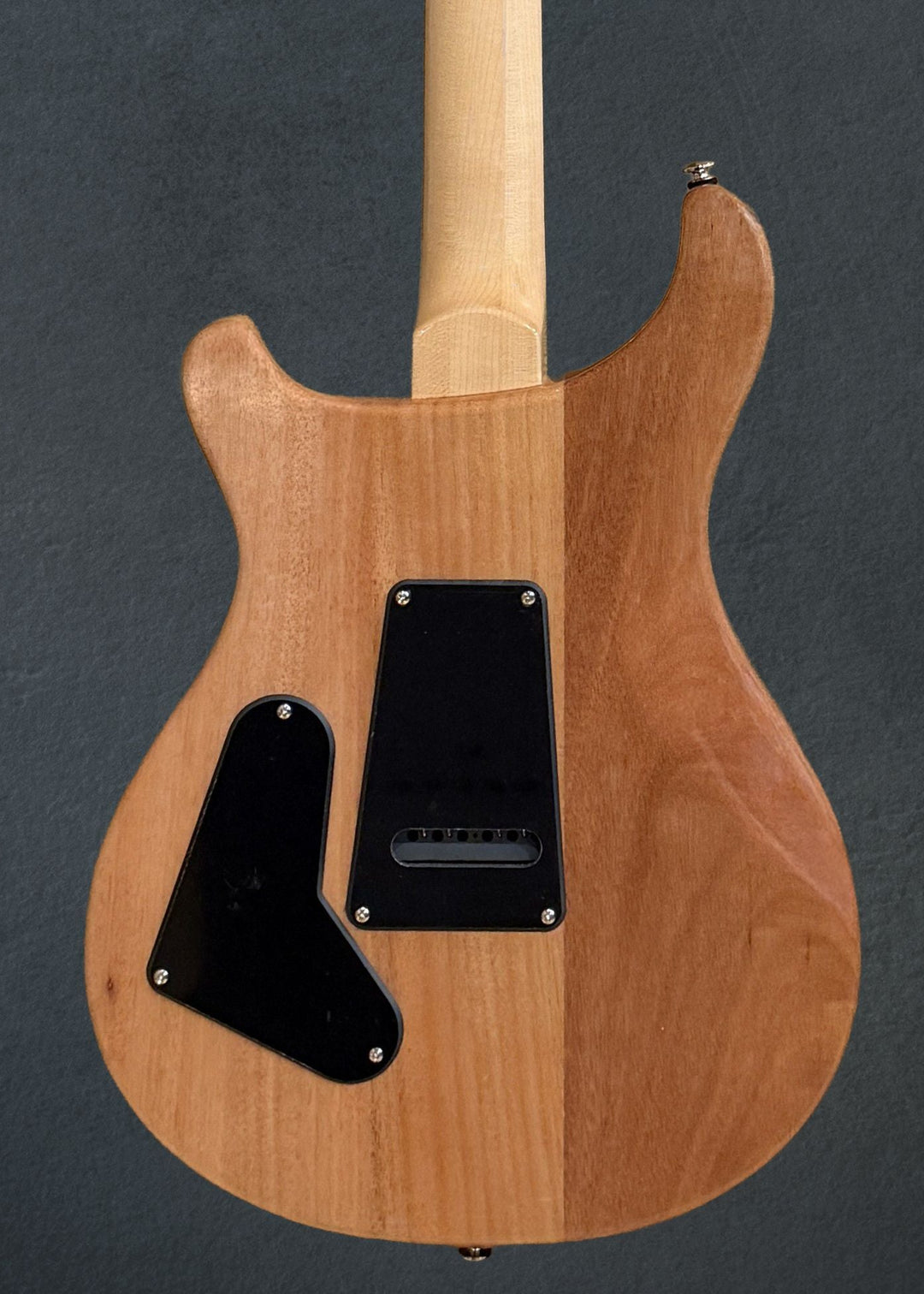 SE Custom 24 &