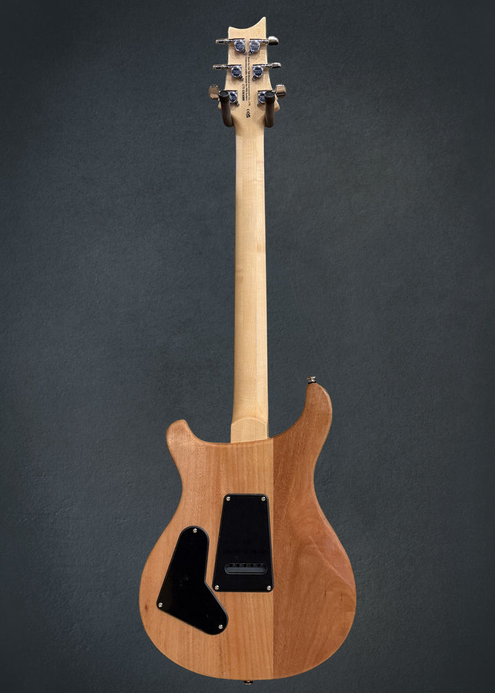 SE Custom 24 &