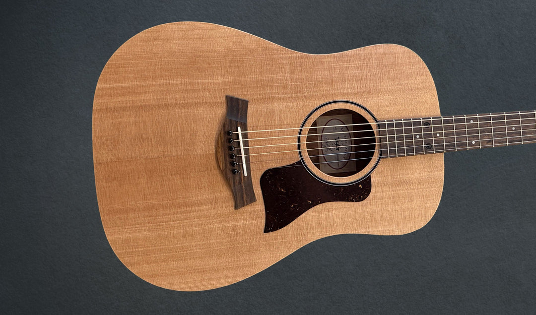 Used Big Baby Taylor (BBT) &
