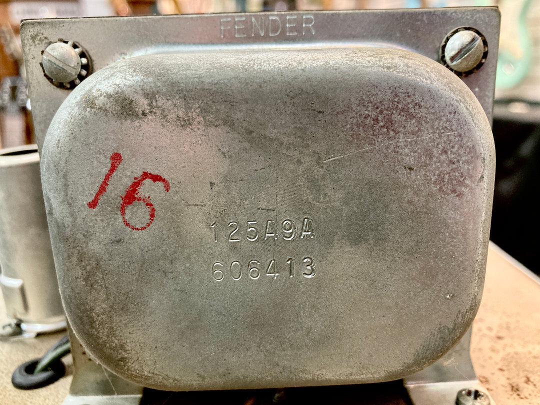 Used Concert-Amp, '64