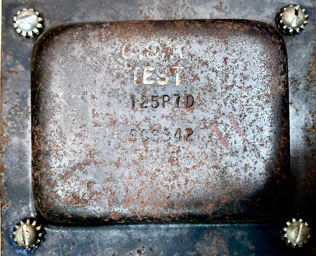 Used Concert-Amp, '64