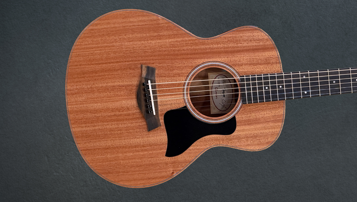 USED GS Mini-E Mahogany &