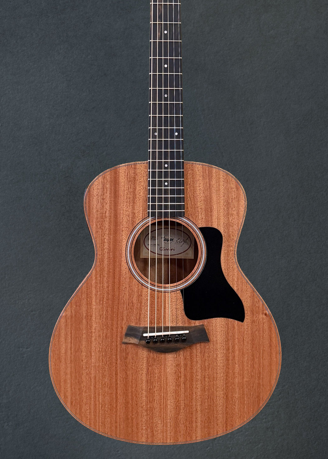 USED GS Mini-E Mahogany &