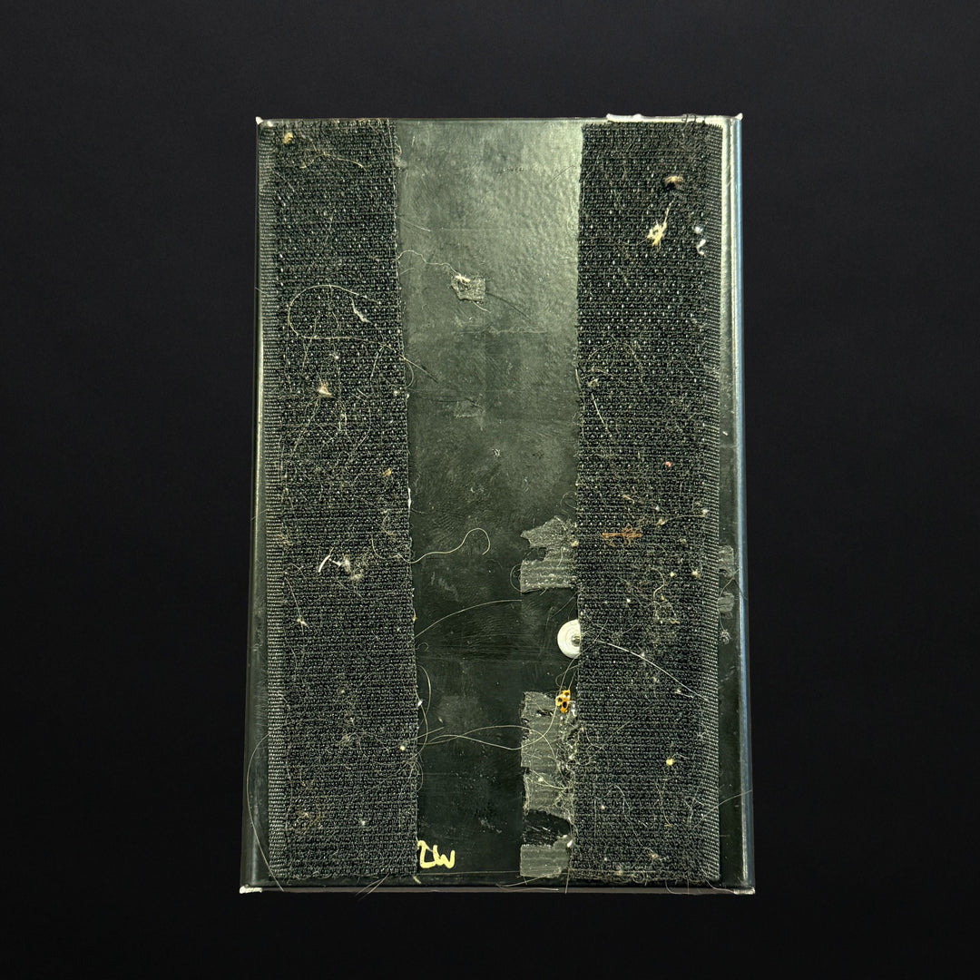 Box Of War, Recent