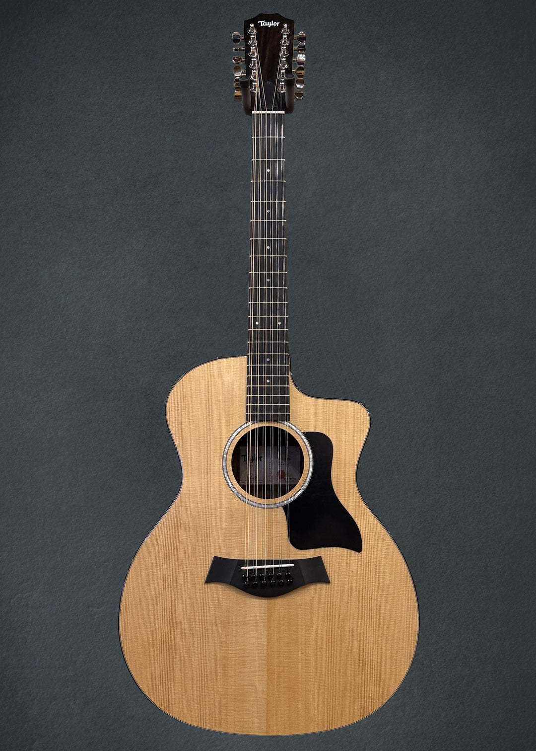 USED 254CE Plus 12 String &