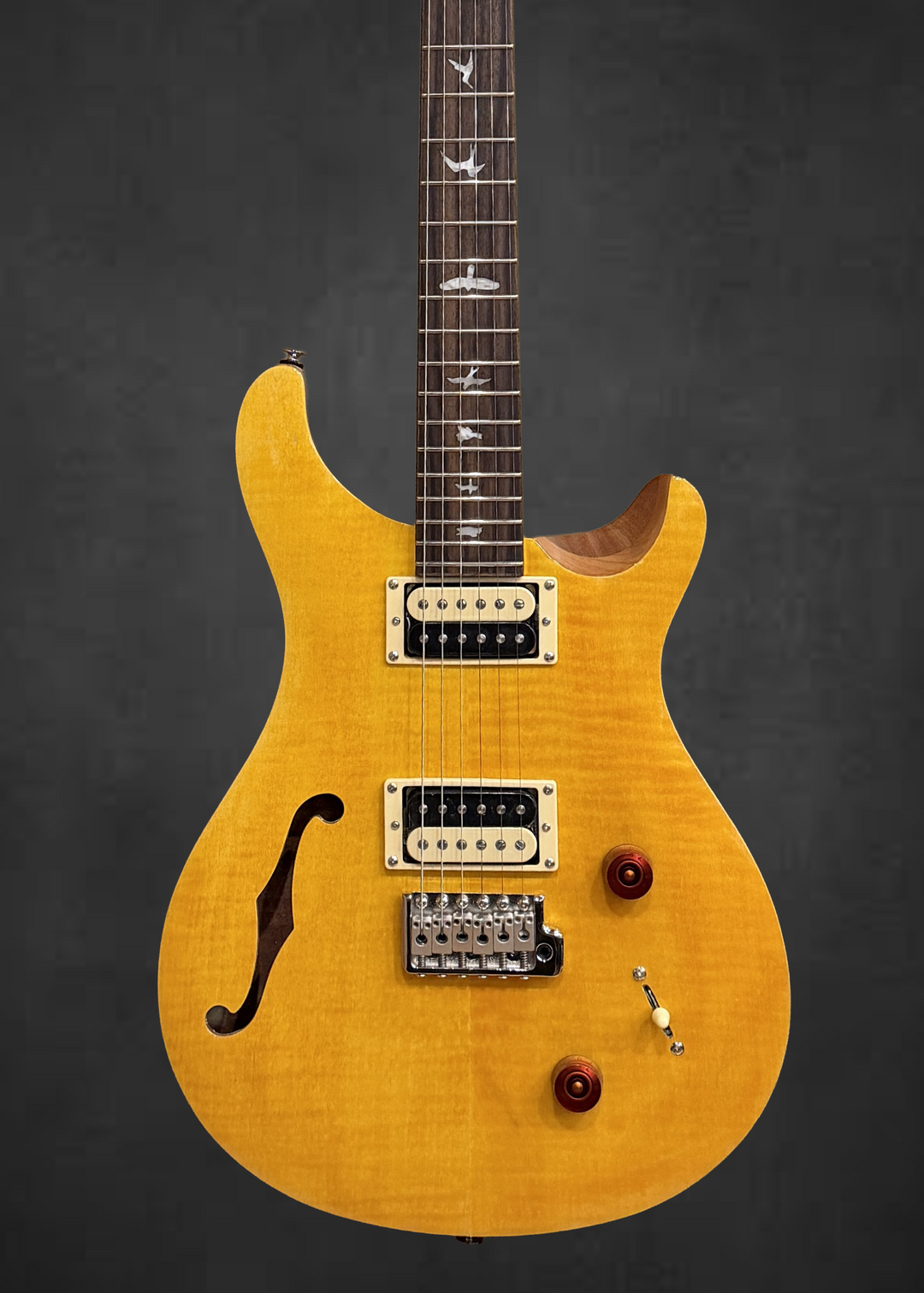 SE Custom 22 Semi-Hollow &