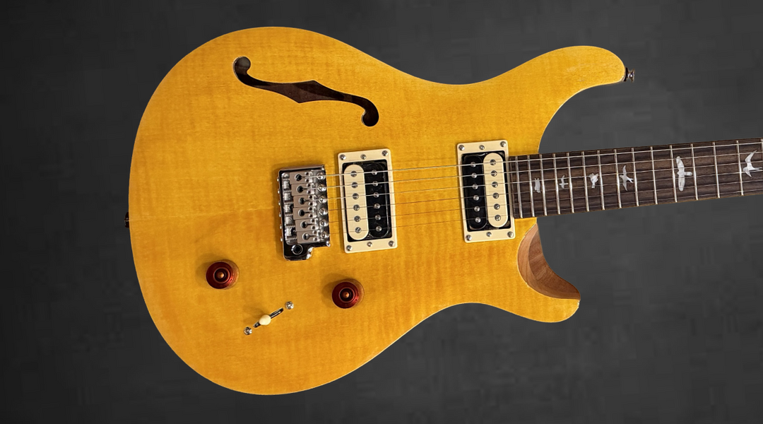 SE Custom 22 Semi-Hollow &