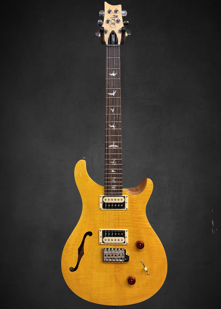 SE Custom 22 Semi-Hollow &