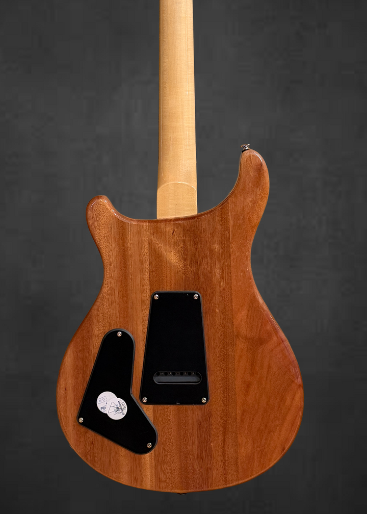 SE Custom 22 Semi-Hollow &