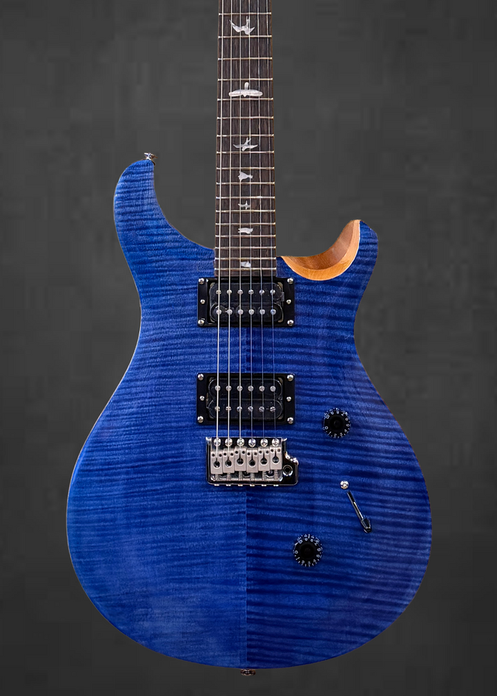 SE Custom 24 &