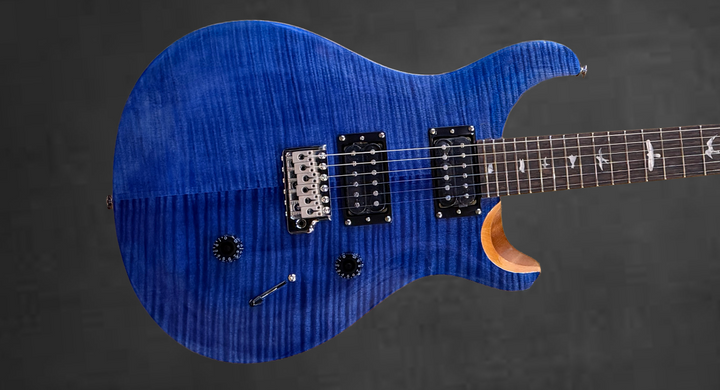 SE Custom 24 &