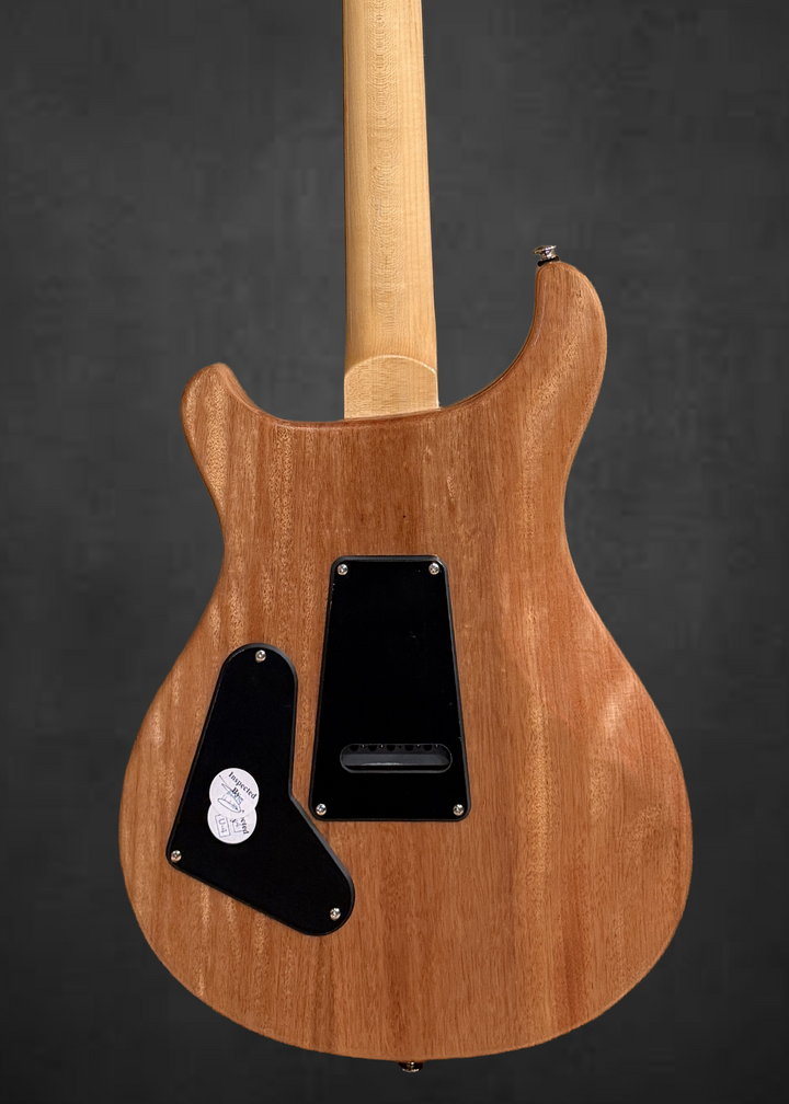 SE Custom 24 &