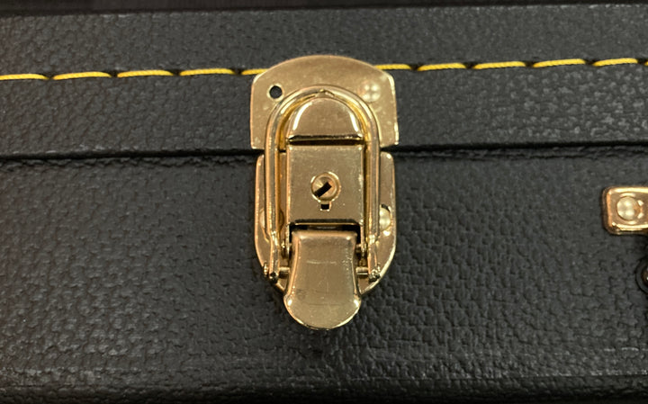 Strat/Tele-Fit Case, Recent