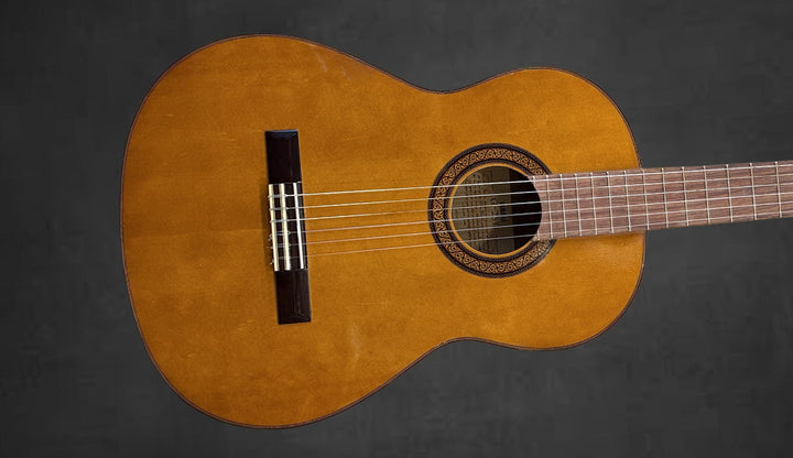 G-231 Classical, Recent