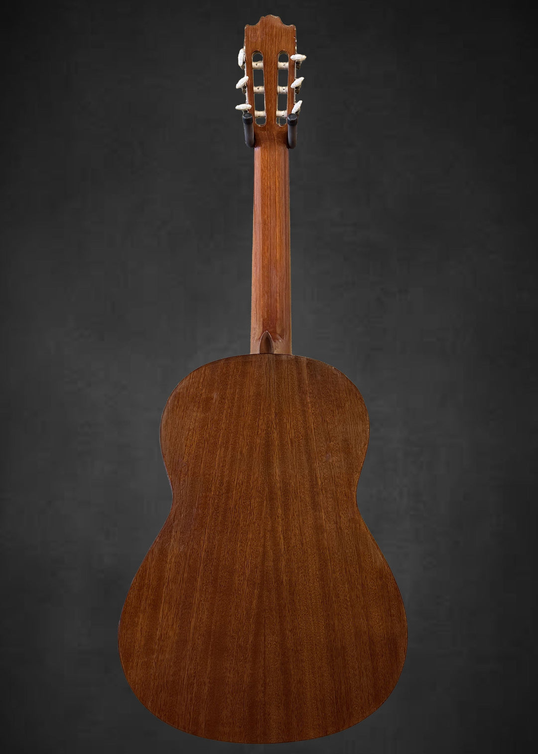 G-231 Classical, Recent