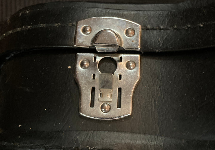 Les Paul Case, Recent