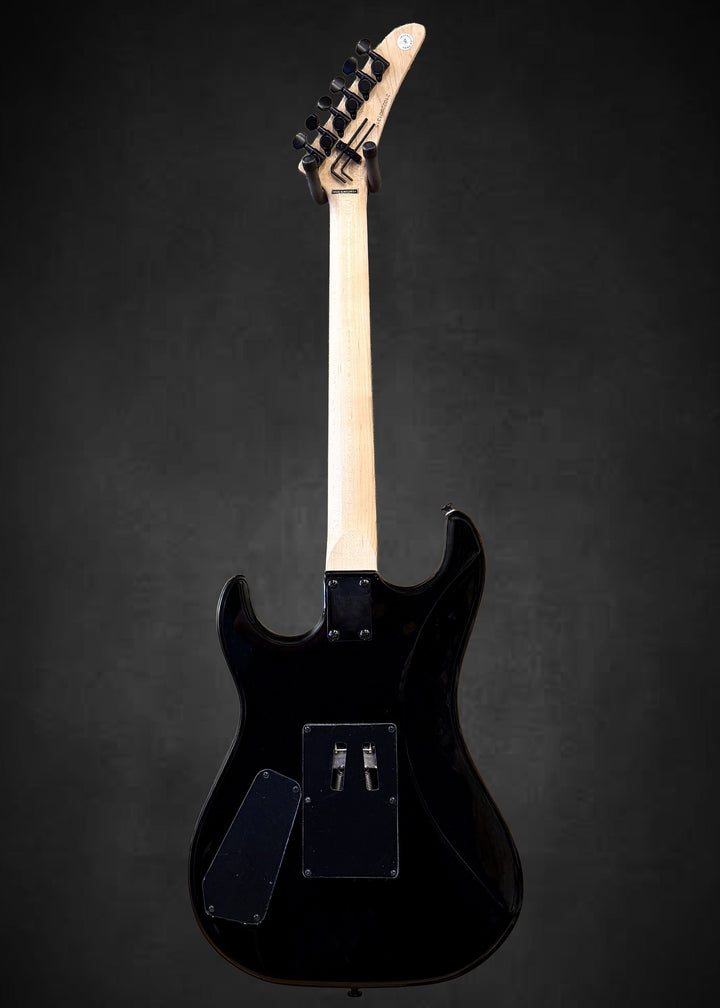 Baretta, Custom Strike First Graphics with EVH D-Tuna