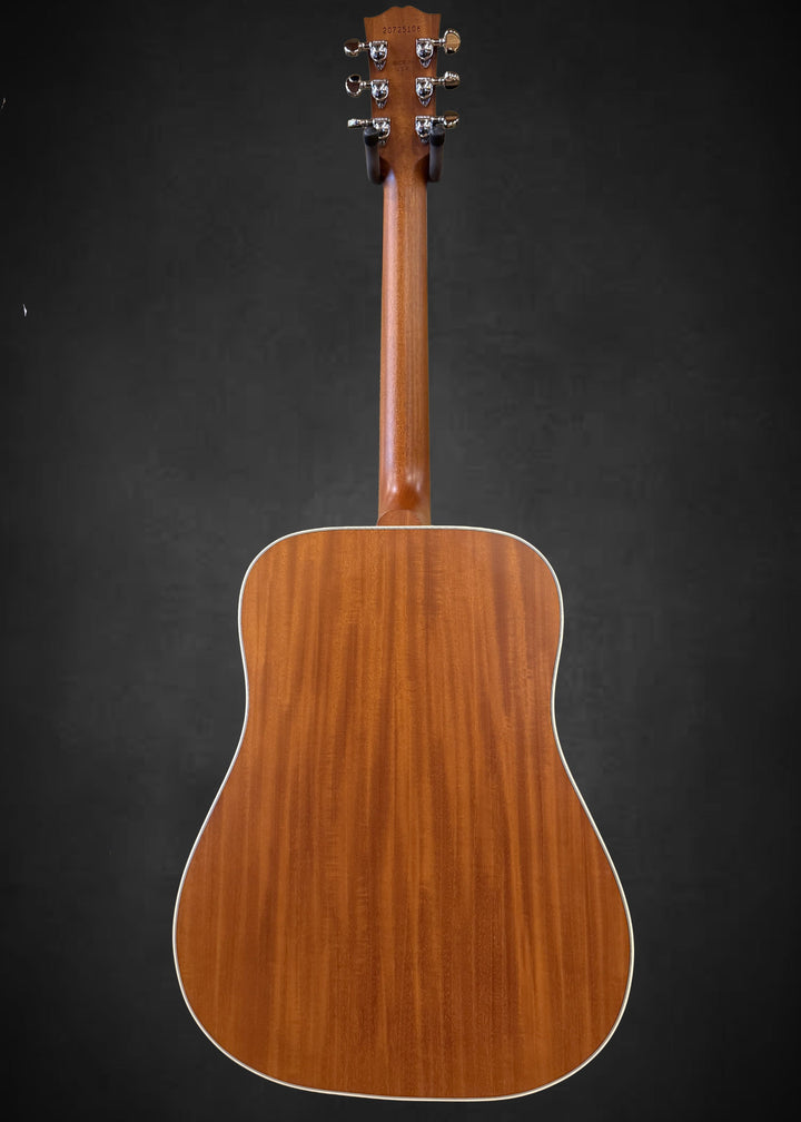 Hummingbird Standard Faded &