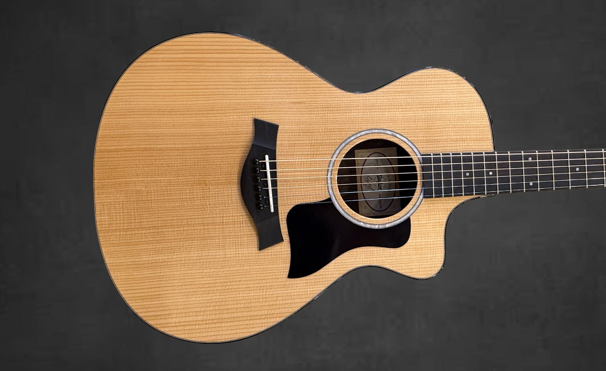 おつかいマイケルアーカイブ Used 214CE Plus '26 – Dave's Guitar Shop