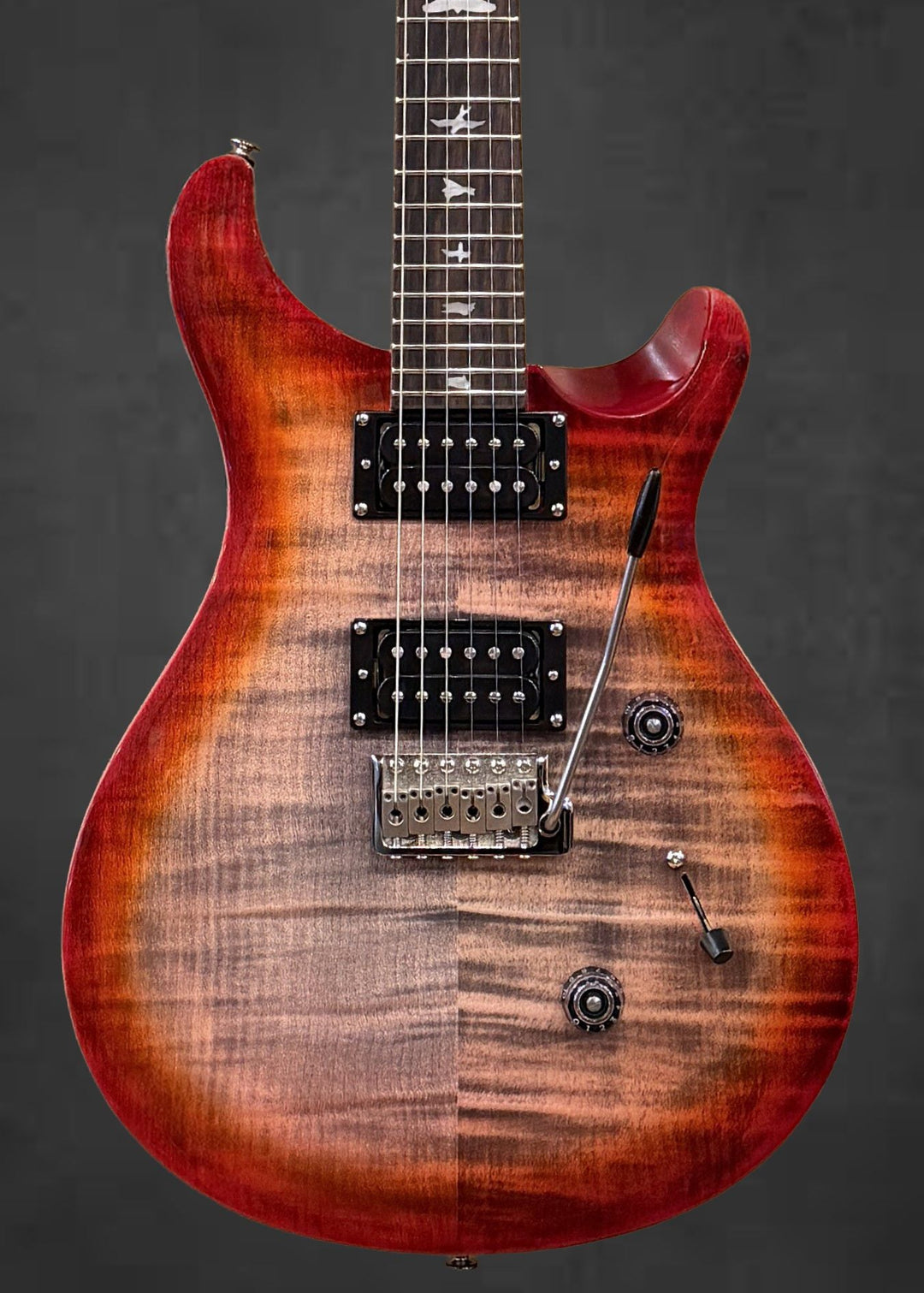 SE Custom 24 &