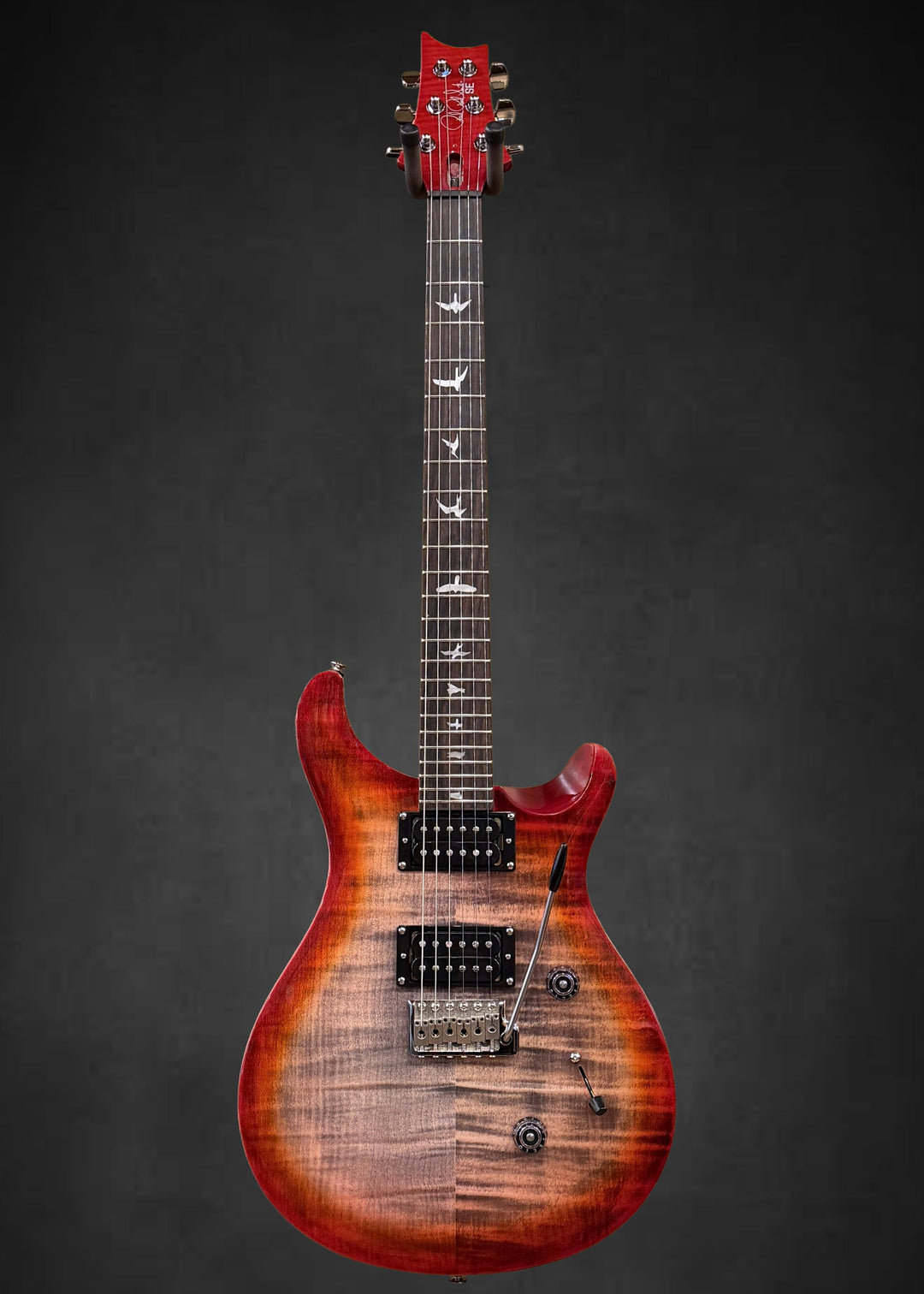 SE Custom 24 &