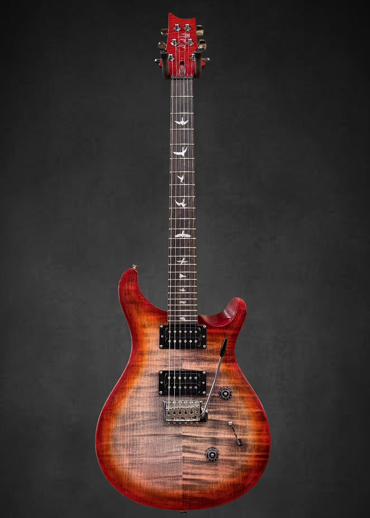 SE Custom 24 &