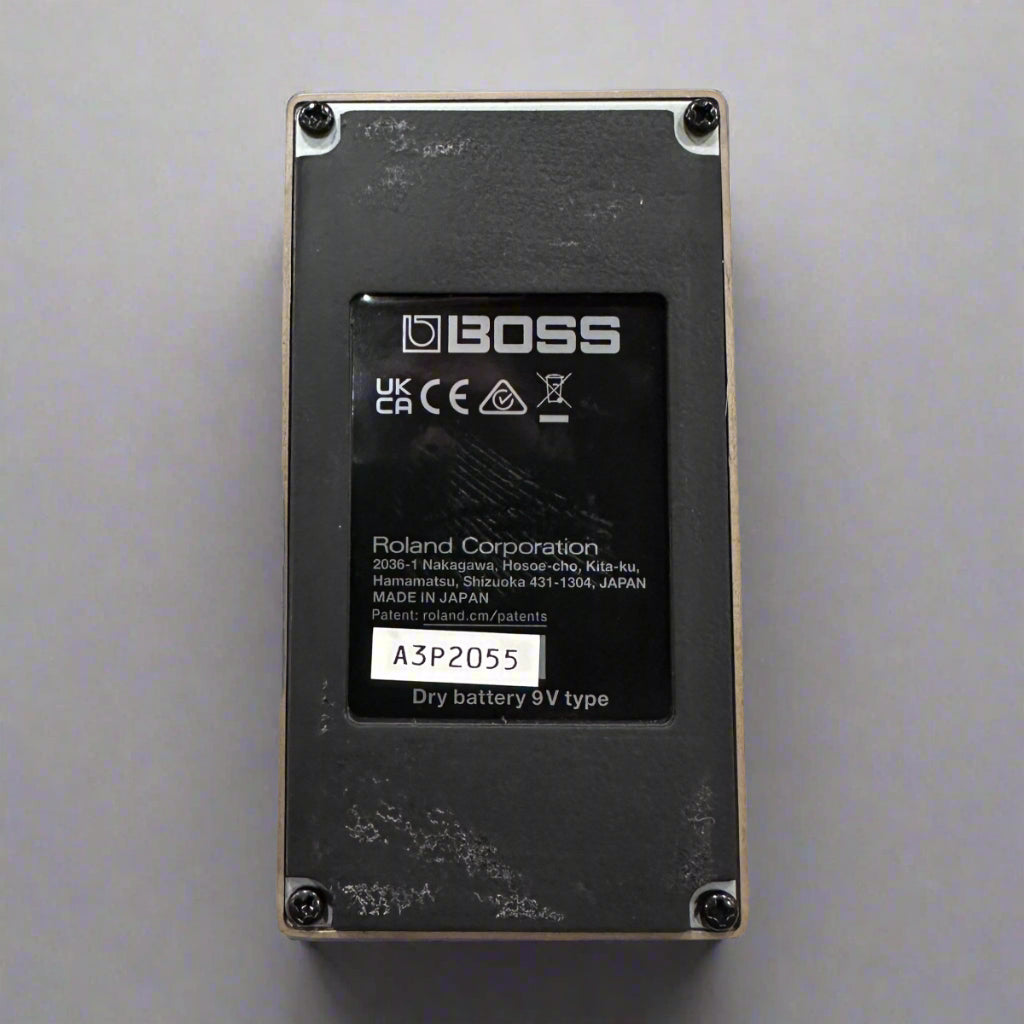 DS-1W, Recent