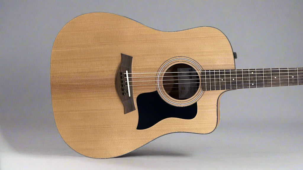 110CE – Dave's Guitar Shop