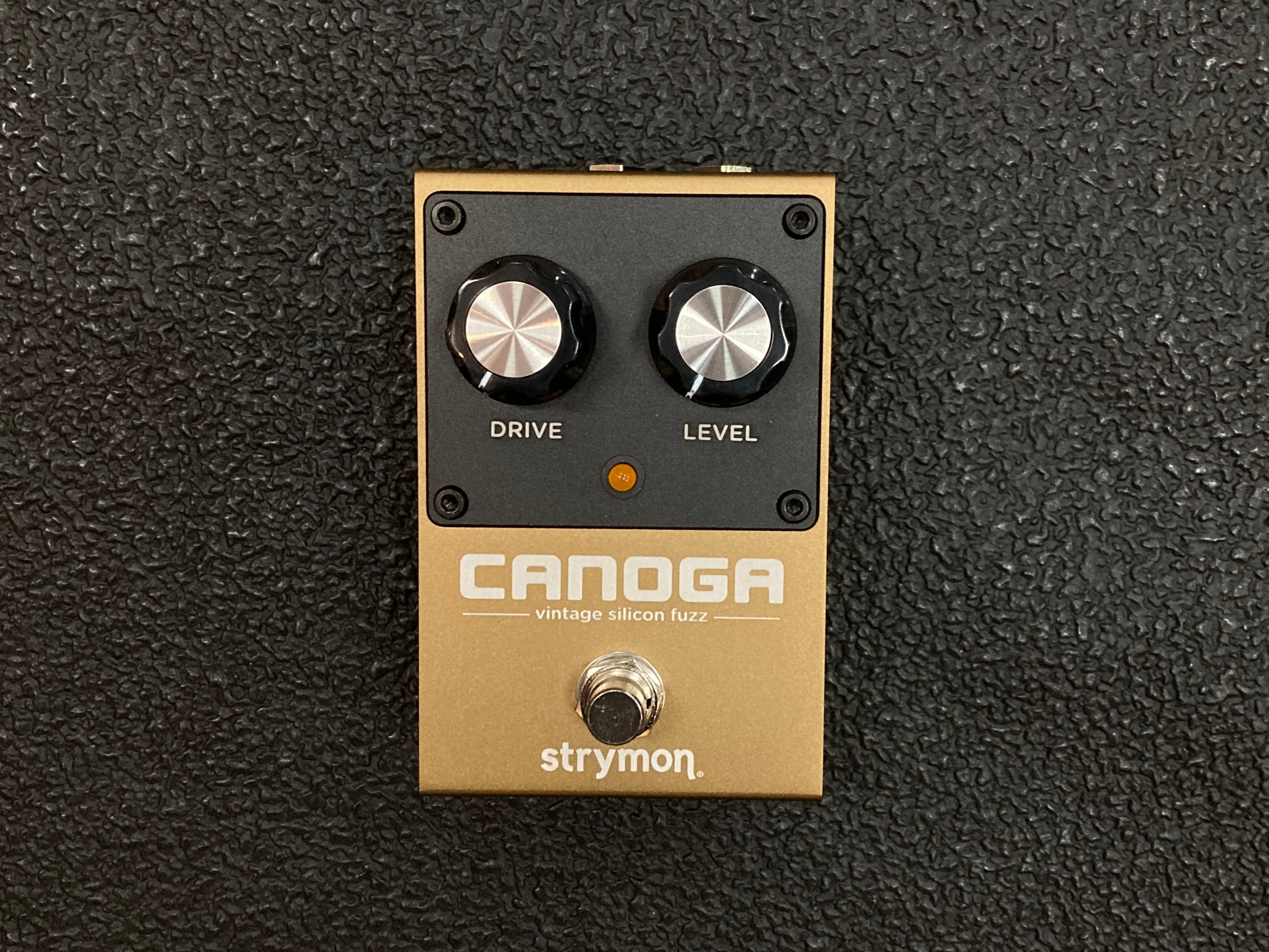 Canoga – Dave's Guitar Shop