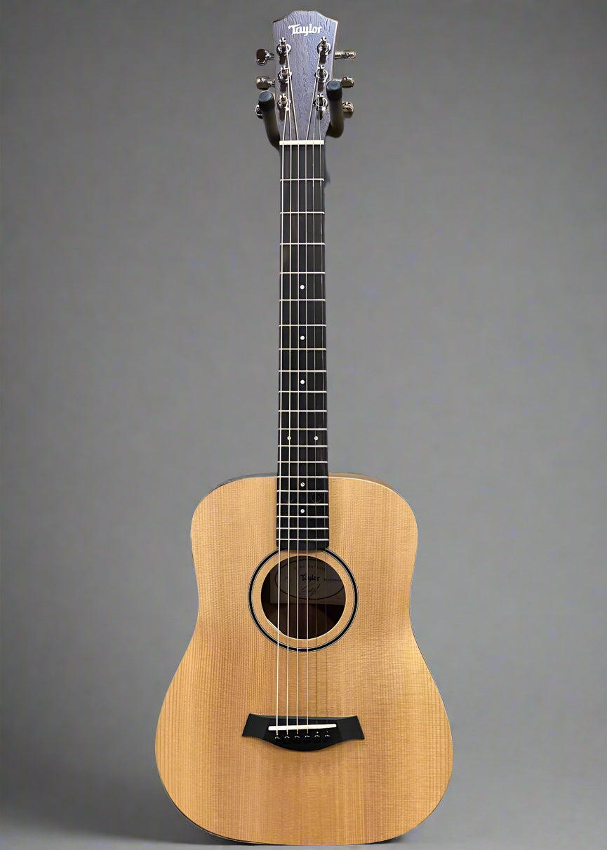 Baby Taylor (BT1)