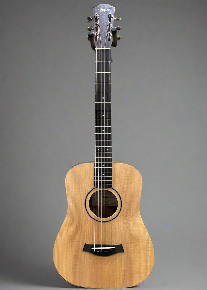 Baby Taylor (BT1)