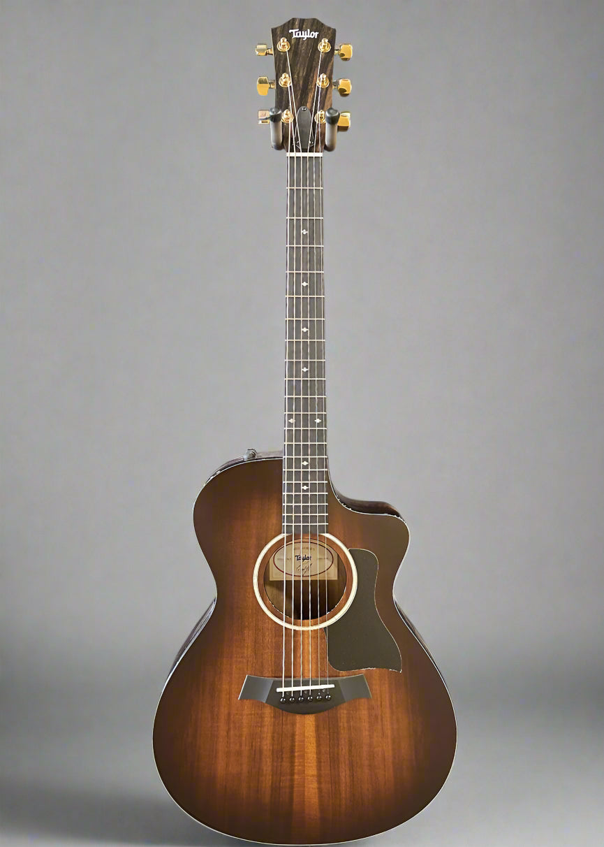222CE-K DLX – Dave's Guitar Shop